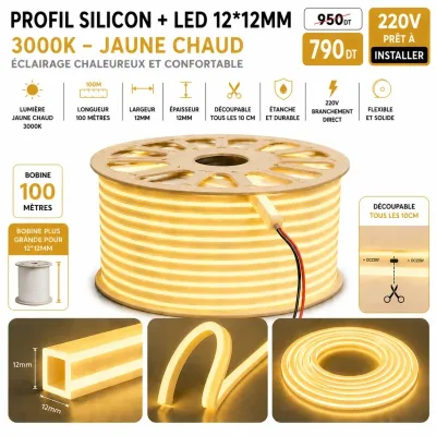 Néon Flex LED 12×12mm – 100 mètres – 3000K | Top Déco Tunisie