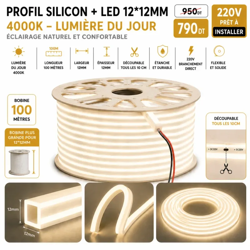 Néon Flex LED 12×12mm – 100 mètres – 4000K | Top Déco Tunisie