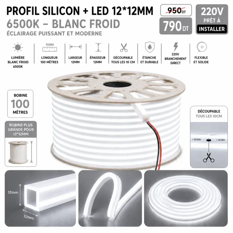 Néon Flex LED 12×12mm – 100 mètres – 6500K | Top Déco Tunisie